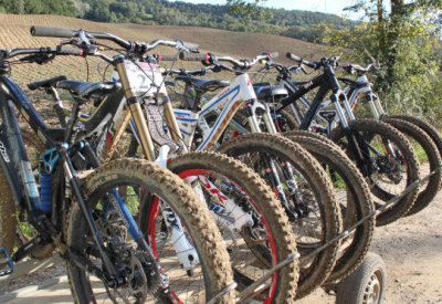 Noleggio Mountainbike