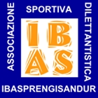 IBAS tecnobiketerni bikeshopping