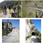 IBAS tecnobiketerni bikeshopping