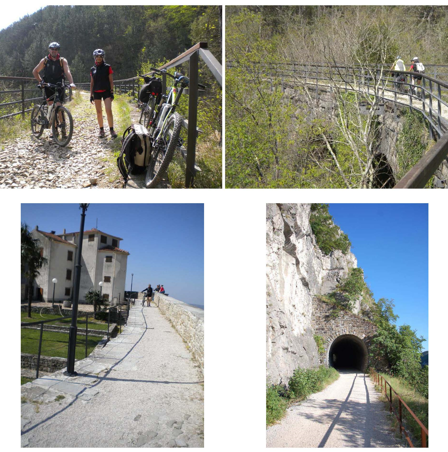 IBAS tecnobiketerni bikeshopping
