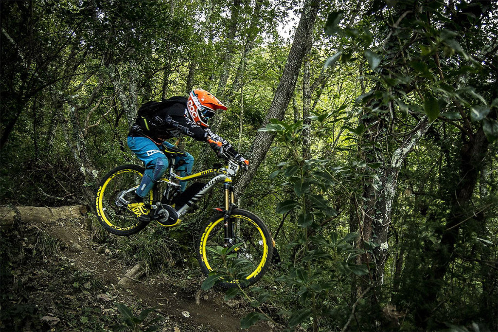 Vendita MTB da Enduro - All mountain