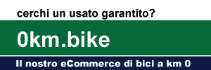 Vendita MTB Elettriche usate