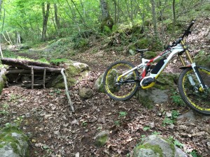 Haibike Xduro Downhill Pro 2016