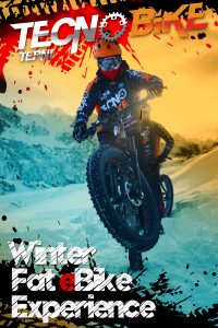 Noleggio FatBike Elettrica Passo del Tonale TecnoBike